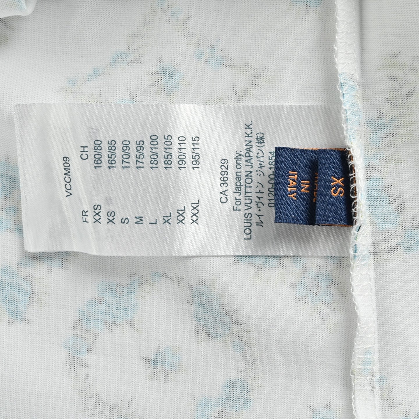 Botanical Monogram Print Oversized Tee