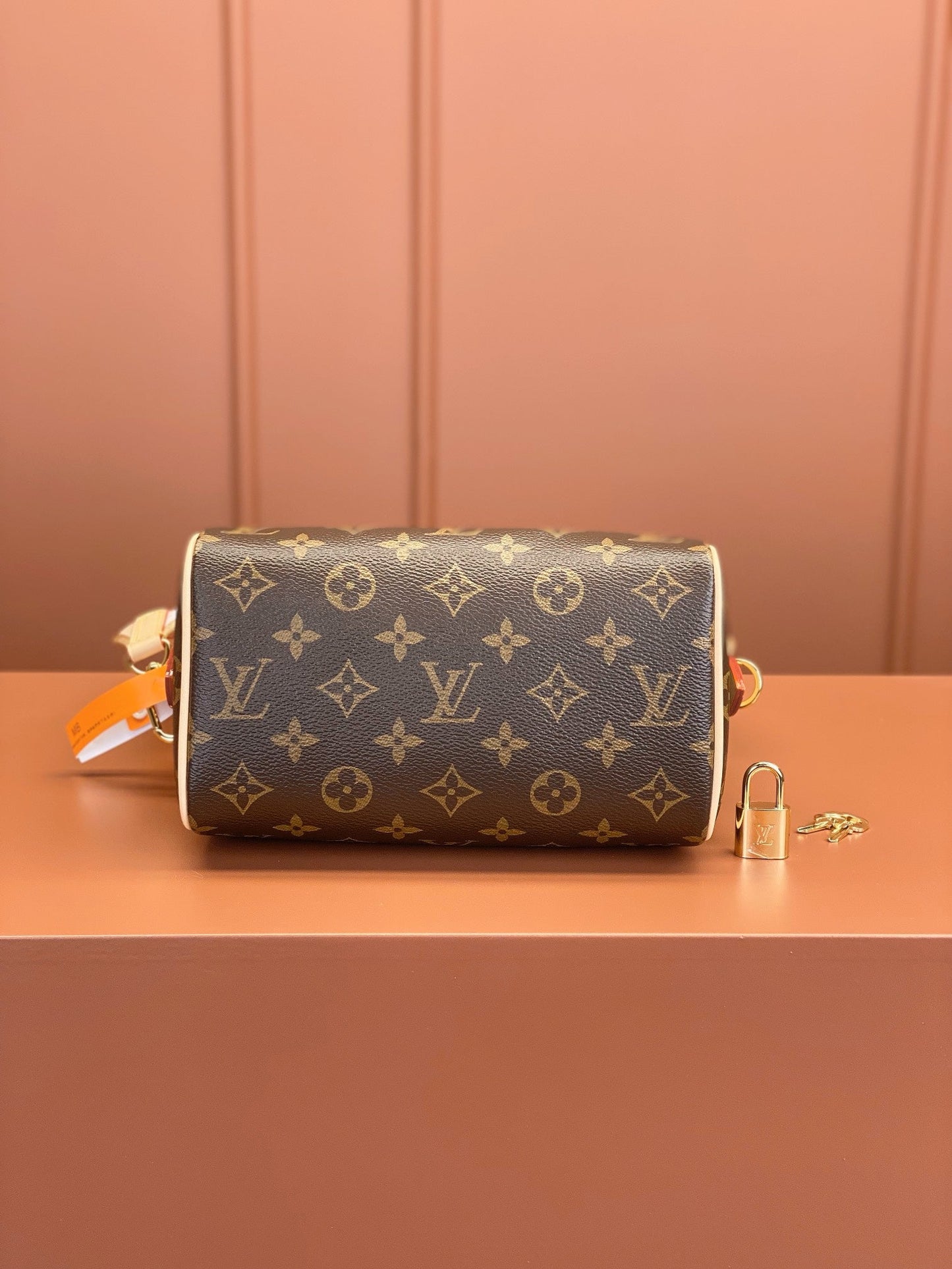 Sacs à main Speedy Bandoulière 20 Monogram
